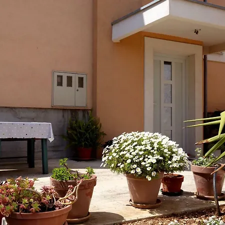 Apartman Ramina Zadar Exterior foto